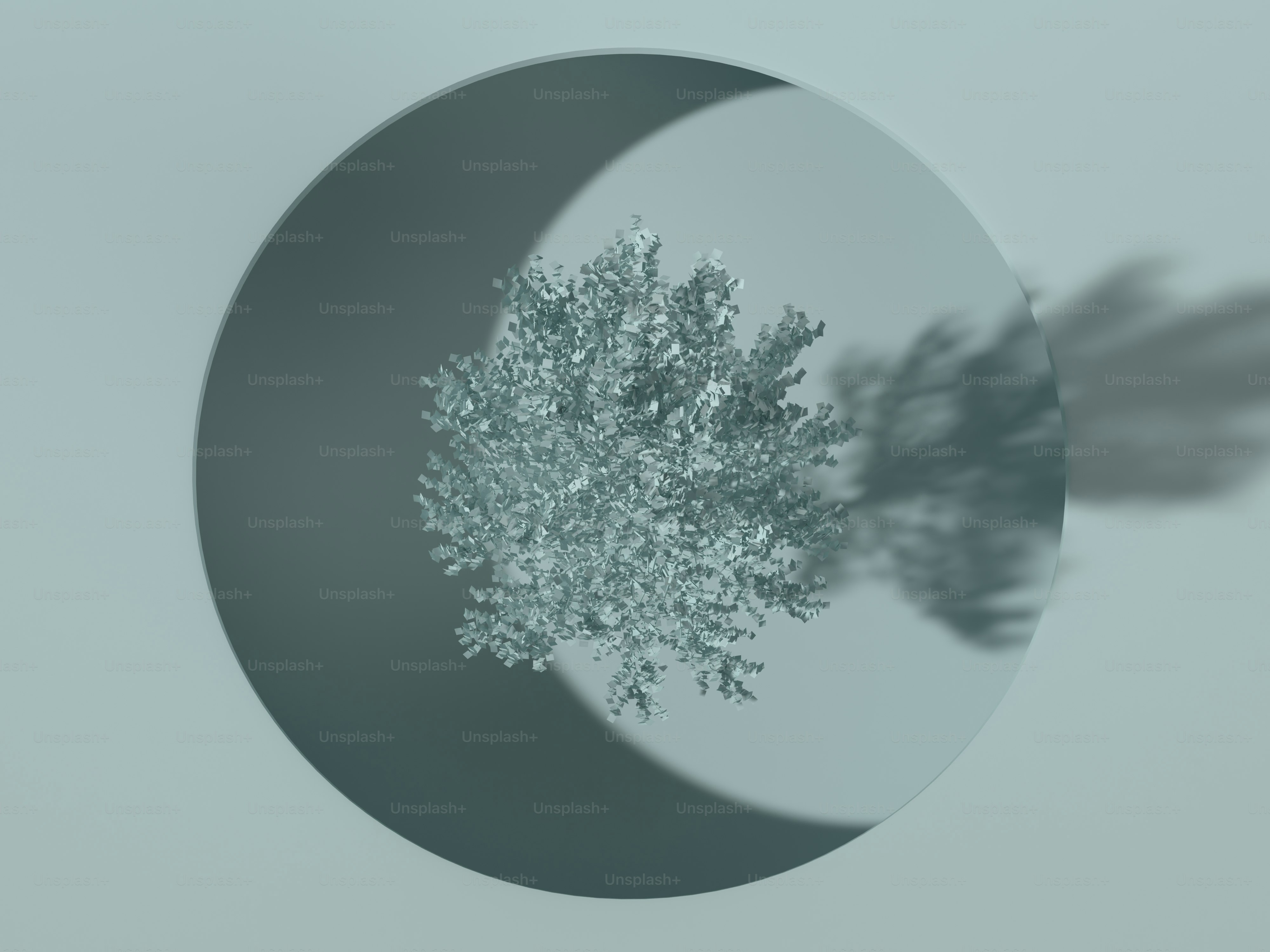 Uma árvore projeta uma sombra na parede