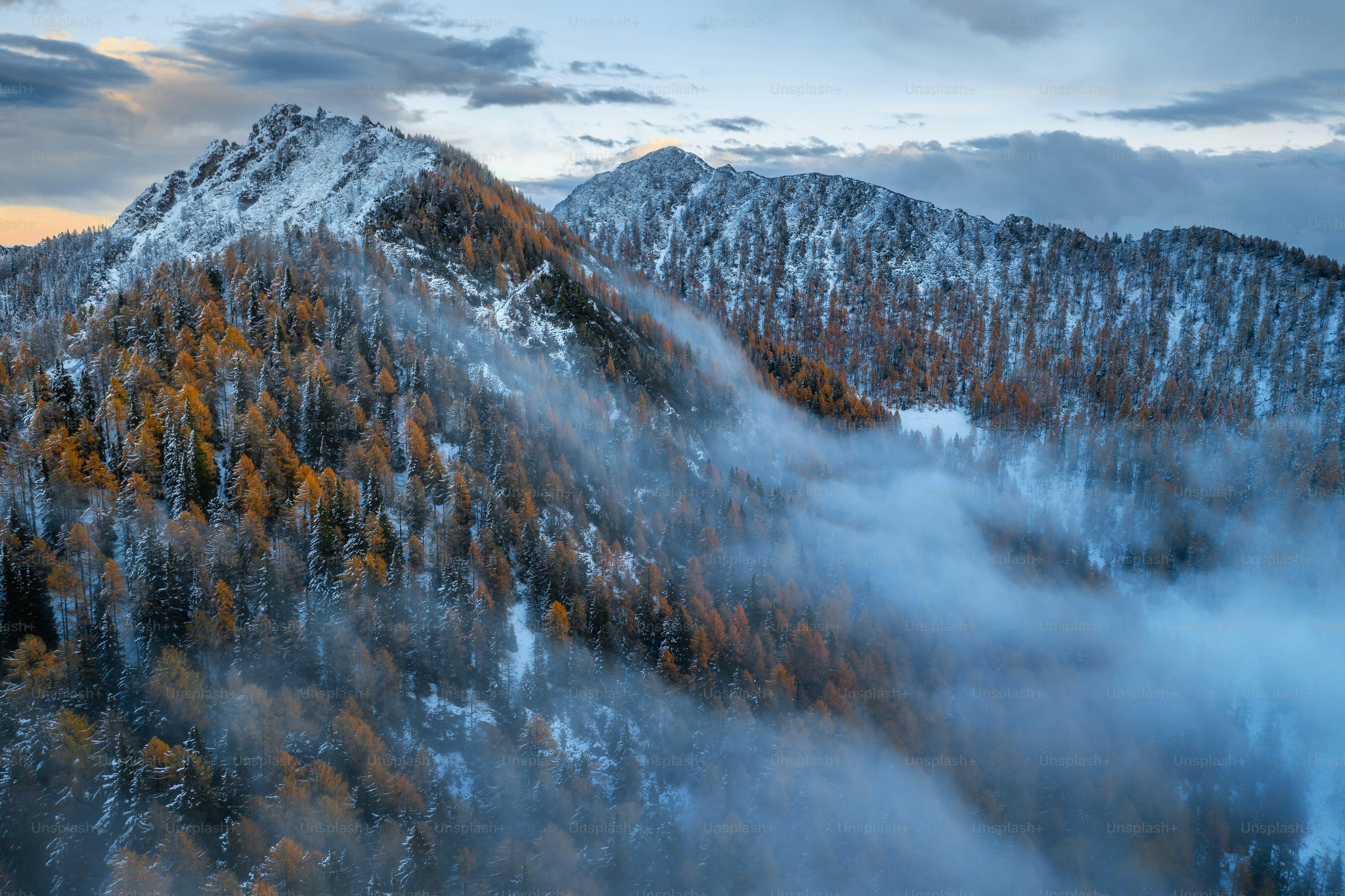 a mountain covered in snow and surrounded by trees
