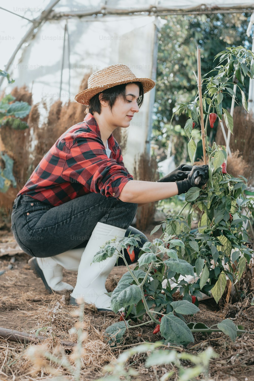 a woman in a straw hat is tending to a plant