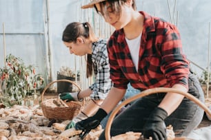 two women working in a greenhouse with plants
