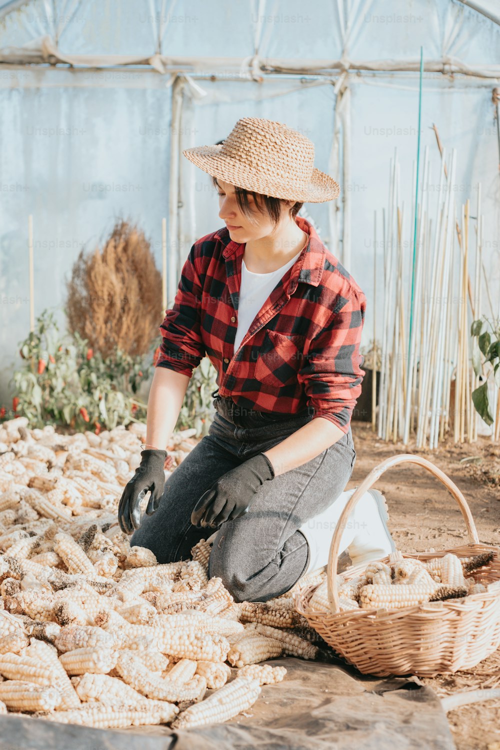 a woman in a straw hat is working in a greenhouse