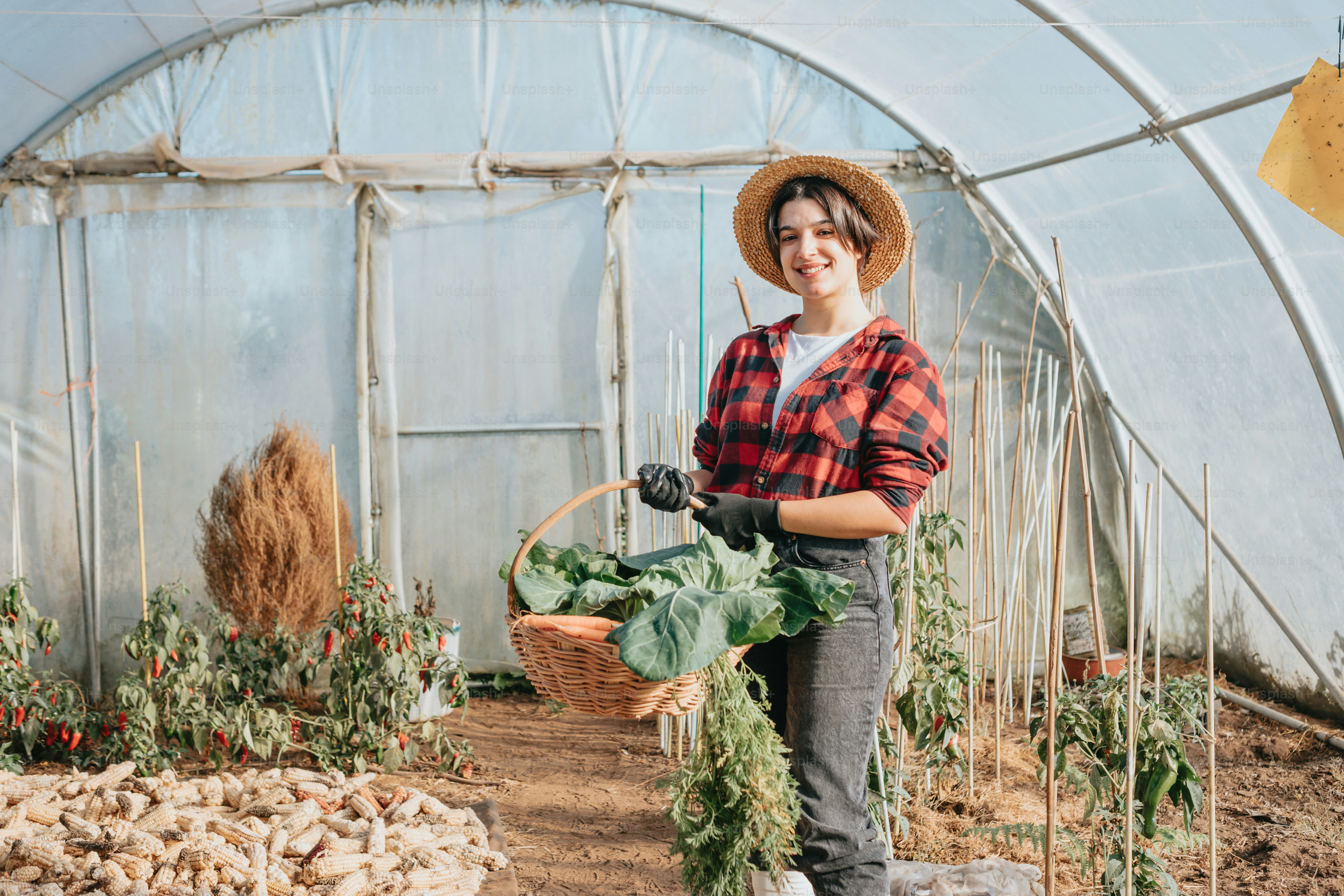 A woman holding a basket of vegetables in a greenhouse photo – Garden ...