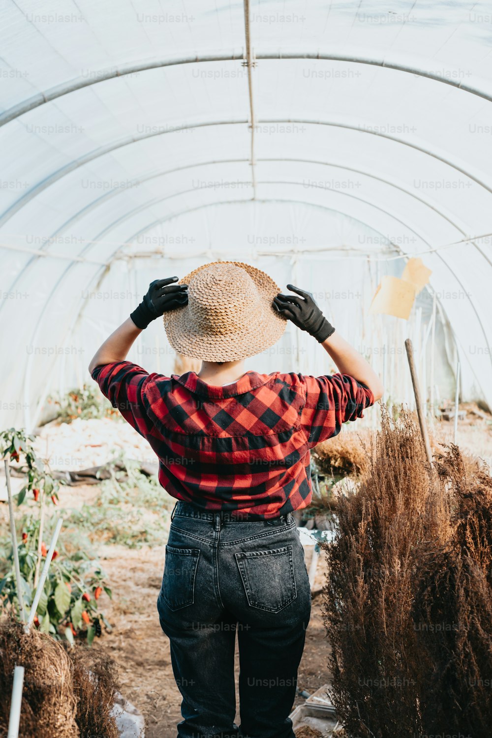 a person standing in a greenhouse with a hat on