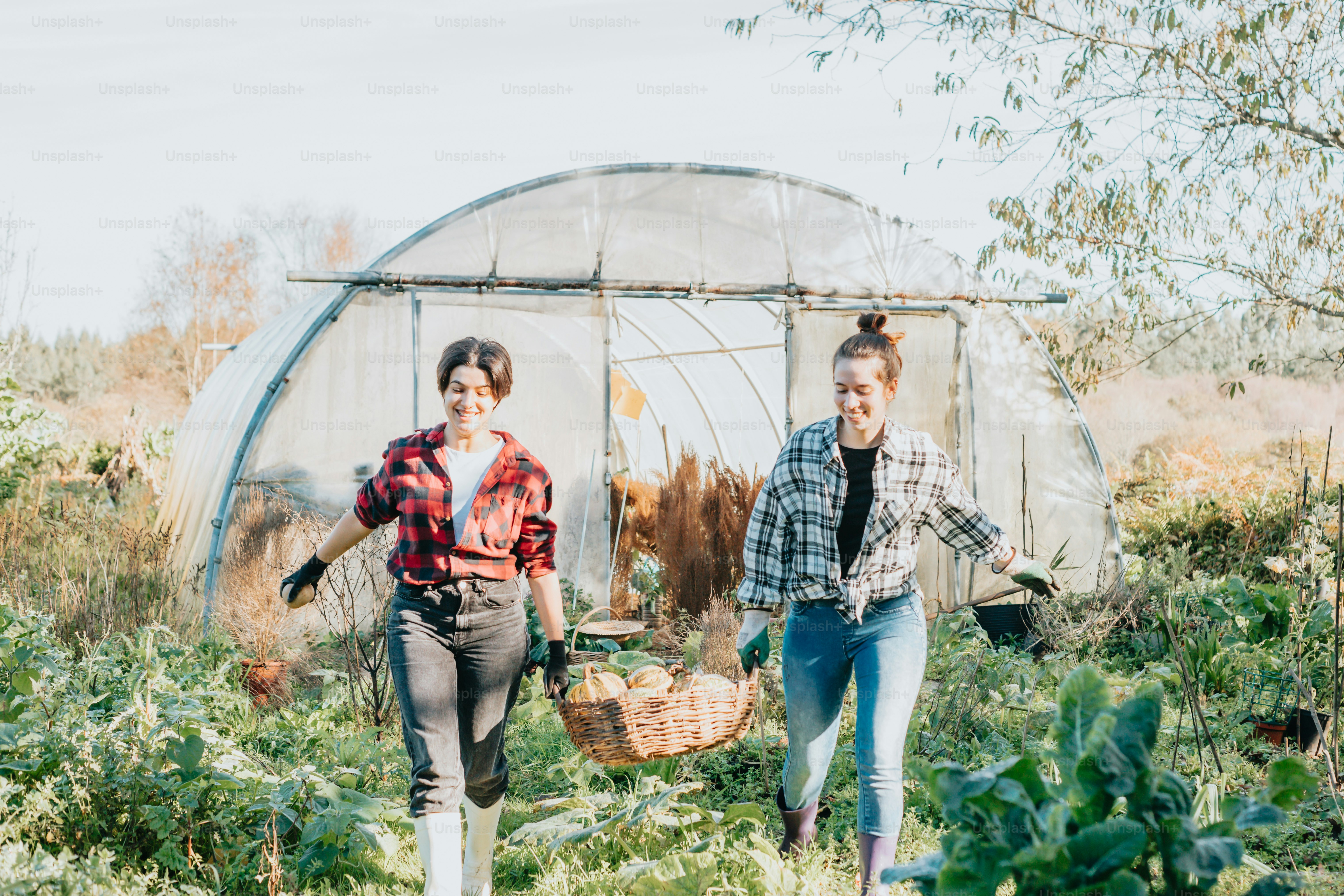 Una pareja de mujeres caminando por un exuberante campo verde