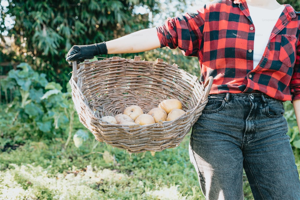Une femme tenant un panier plein de pommes de terre