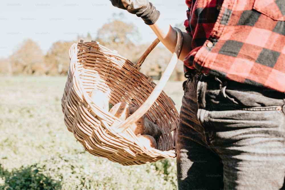 a person holding a basket in a field