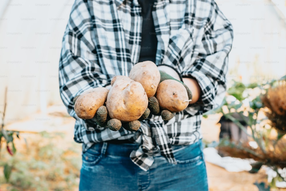 um homem segurando um monte de batatas nas mãos