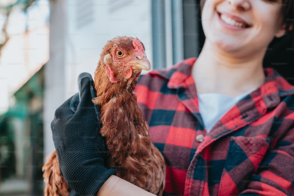a close up of a person holding a chicken