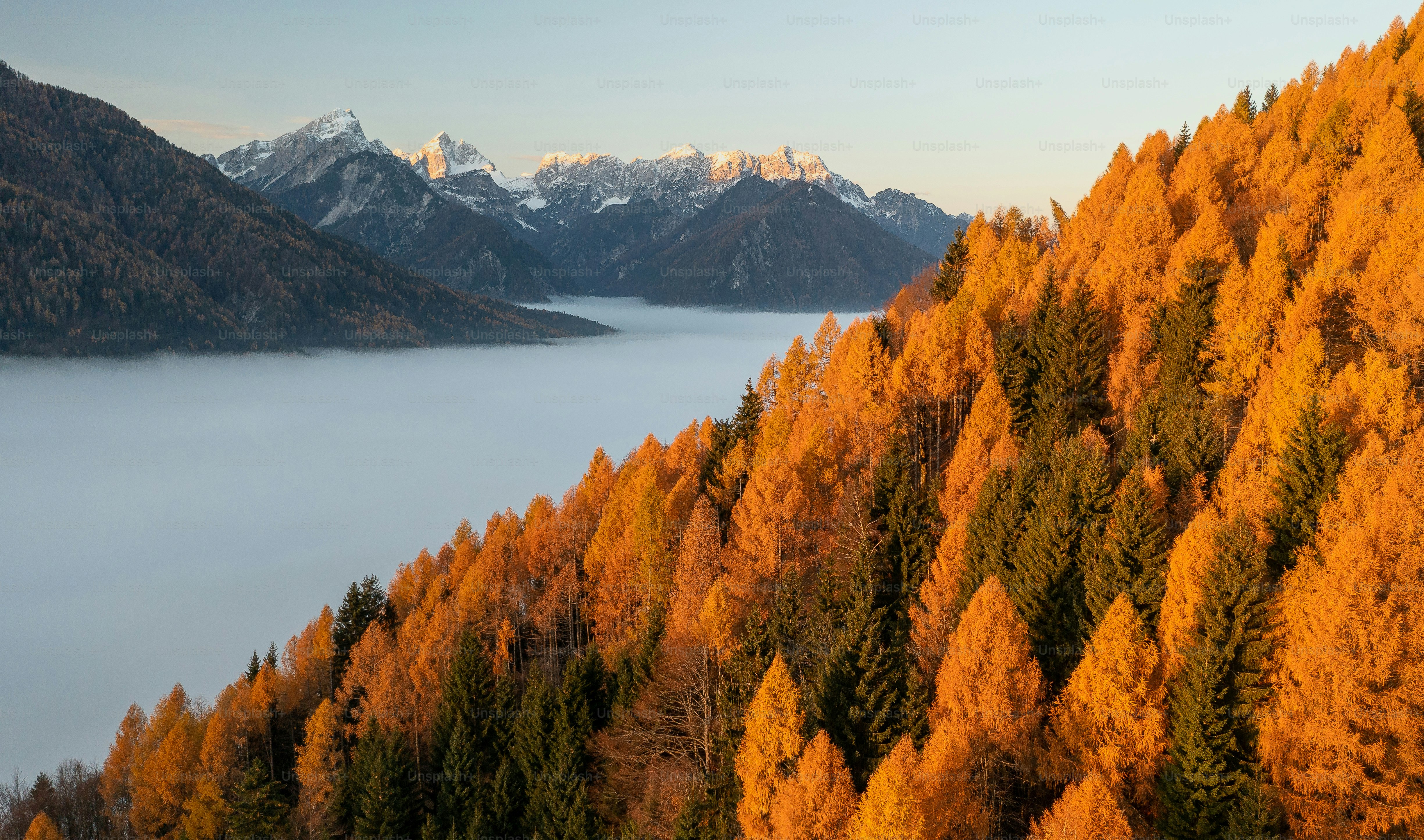a view of a mountain range with trees in the foreground