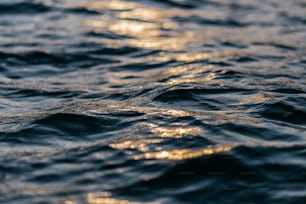 Un primer plano de la superficie del agua de un cuerpo de agua