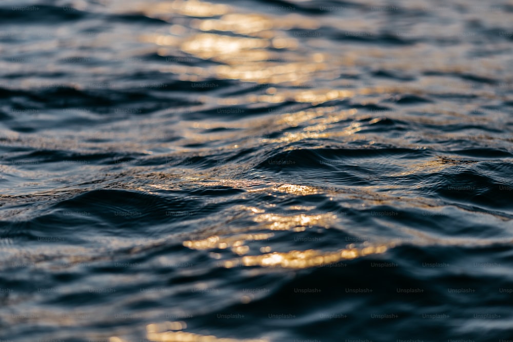 a close up of the water surface of a body of water