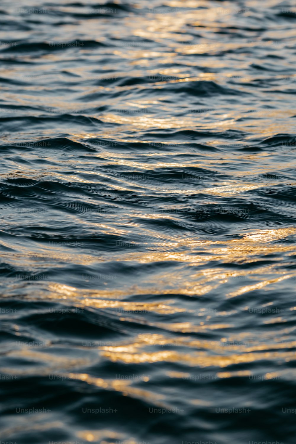 Un primer plano de un cuerpo de agua con olas