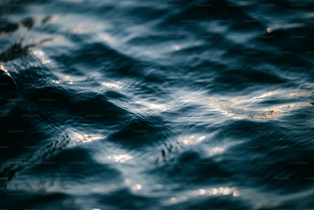 a blurry photo of the water surface of a body of water
