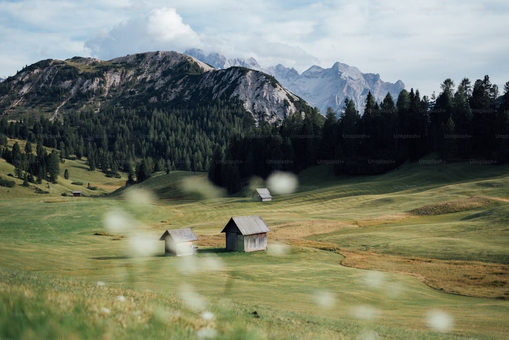 a grassy field with a house in the middle of it