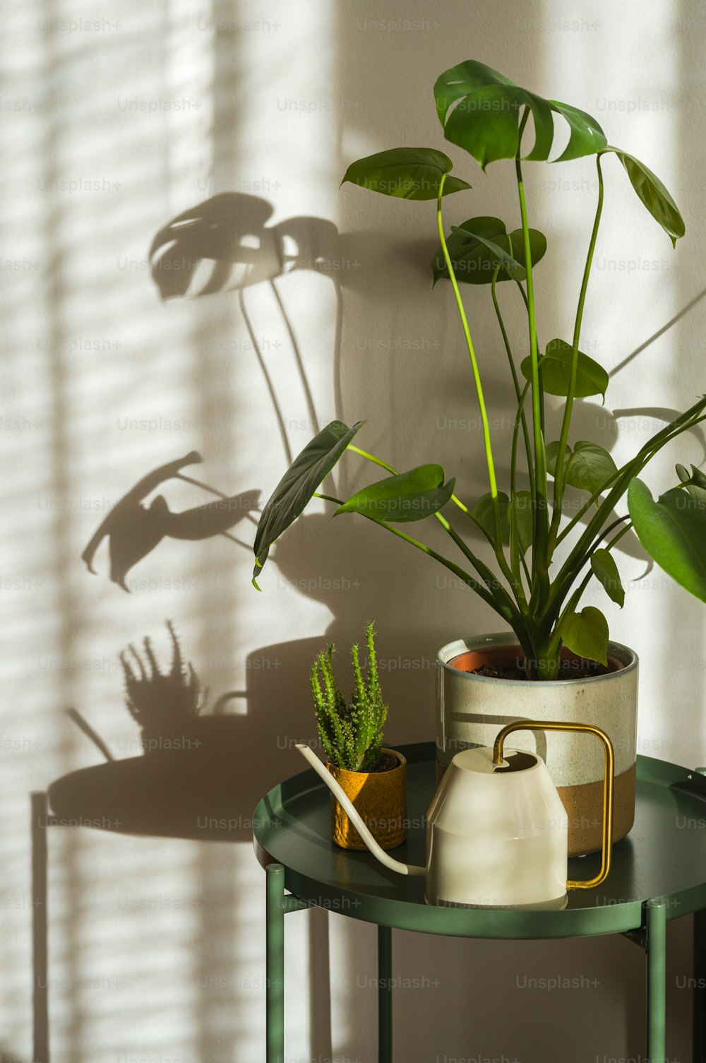 a potted plant sitting on top of a table