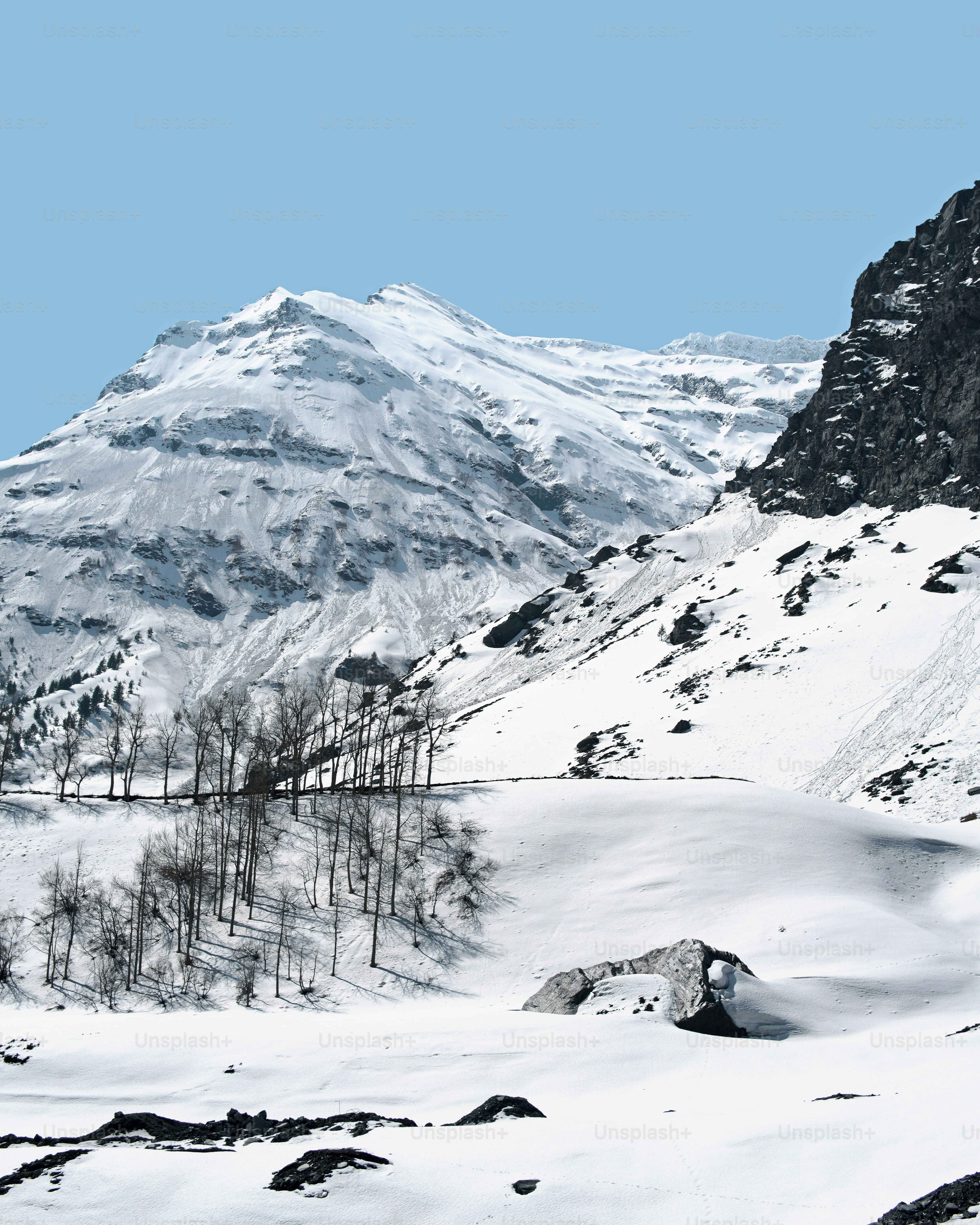 A snow covered mountain with trees in the foreground photo – Wallpaper ...