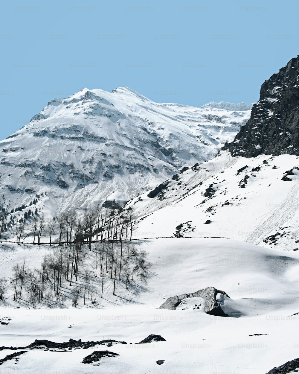 Une montagne enneigée avec des arbres au premier plan