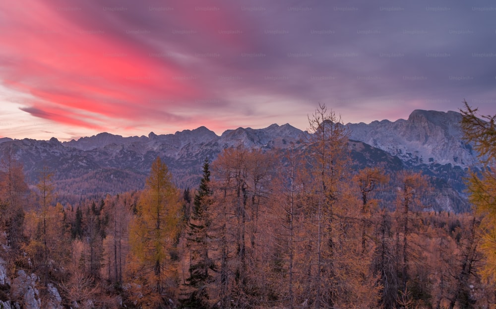 Una catena montuosa con alberi e montagne sullo sfondo