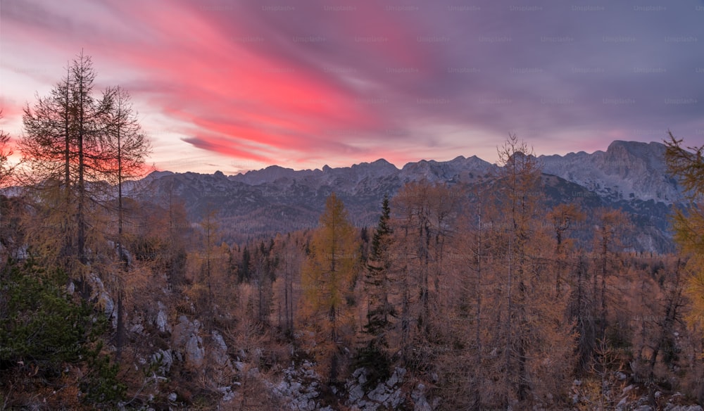 Una puesta de sol sobre una cadena montañosa con árboles en primer plano