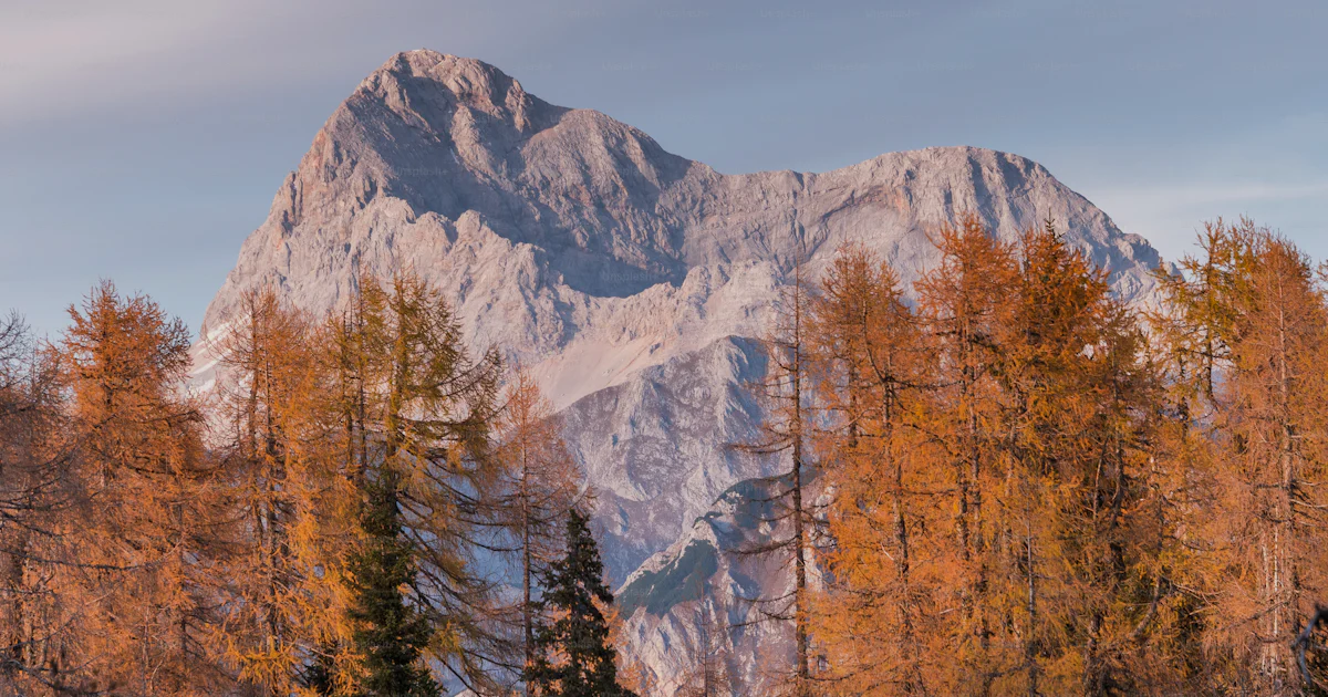 Fall Range A view of a mountain range with trees in the foreground photo – Fall ...