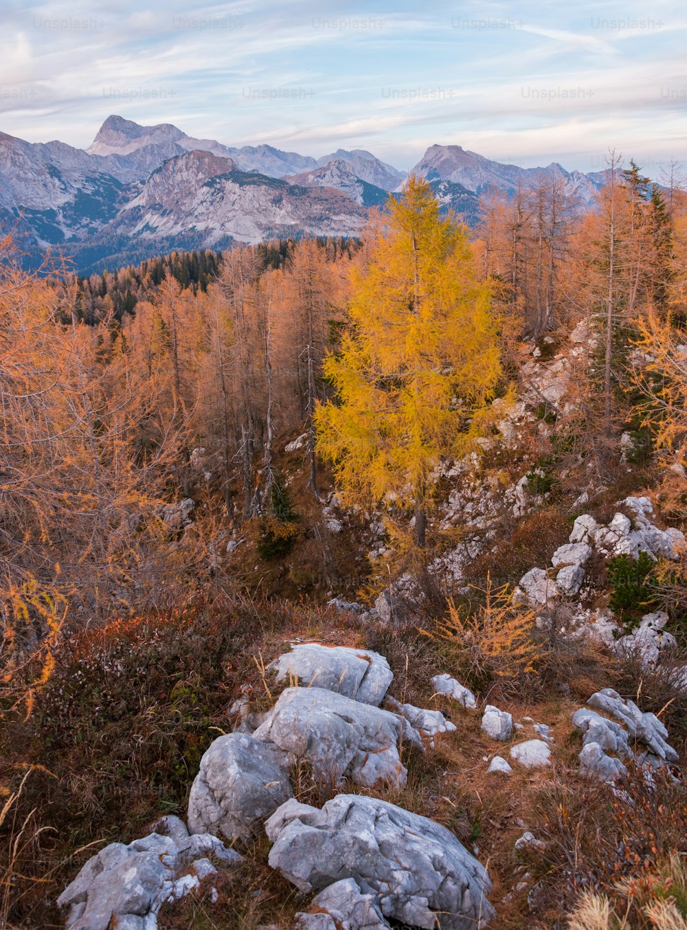 a view of the mountains and trees in autumn