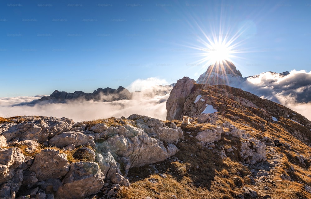 the sun shines brightly above the clouds on top of a mountain