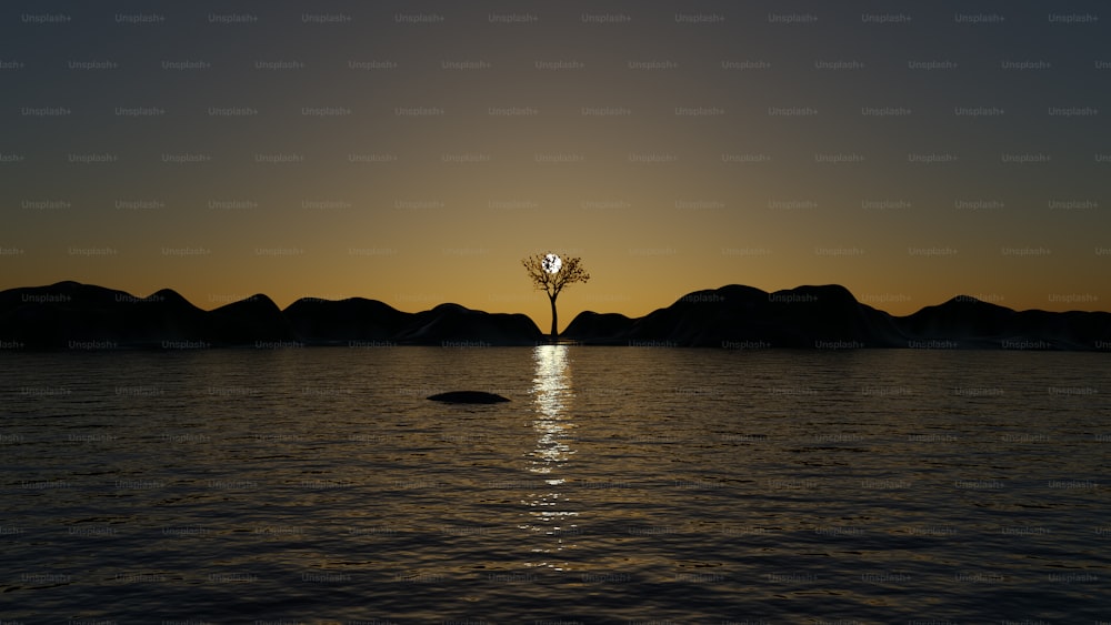 un arbre solitaire au milieu d’un plan d’eau