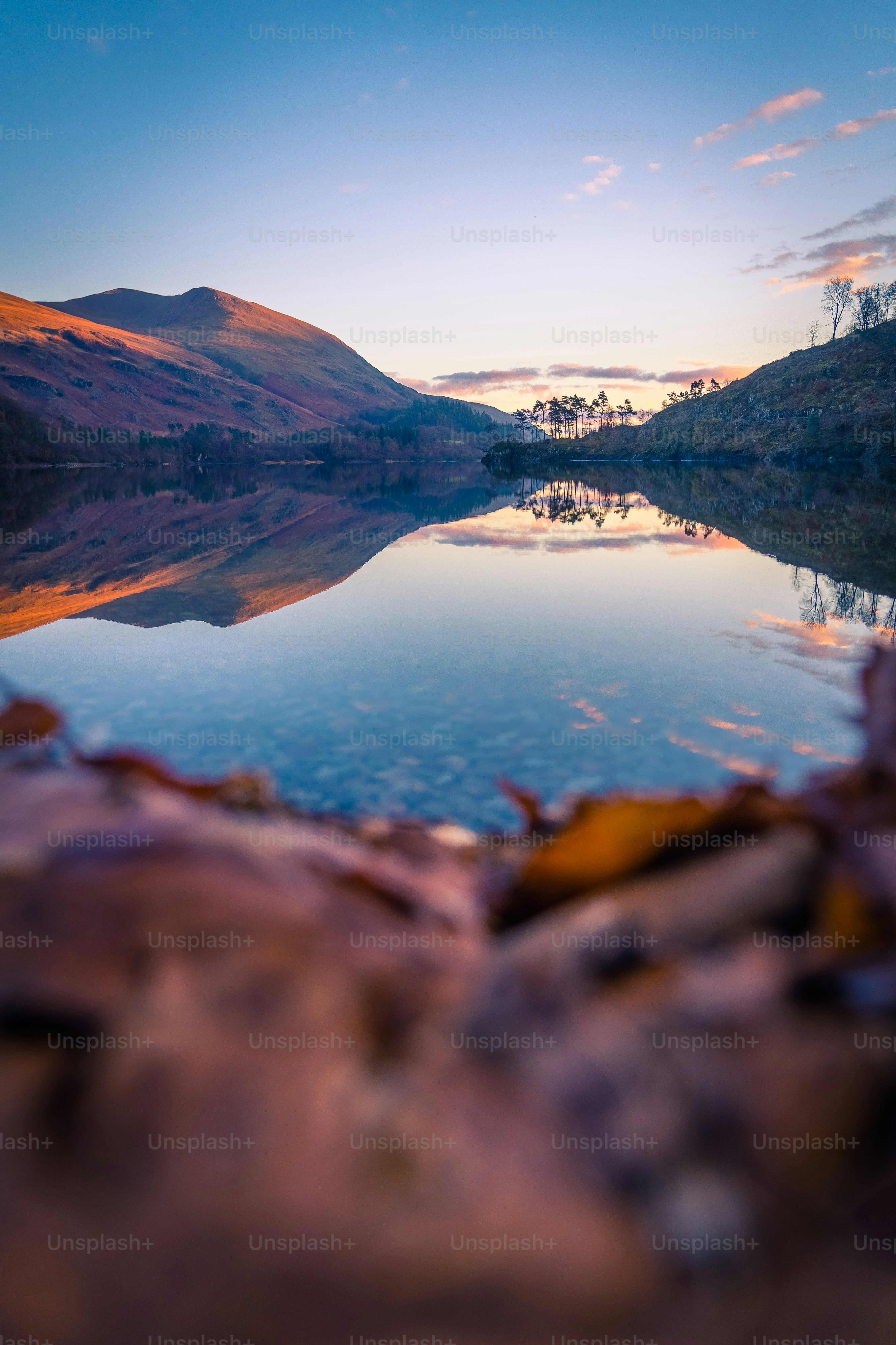 a body of water surrounded by mountains and trees