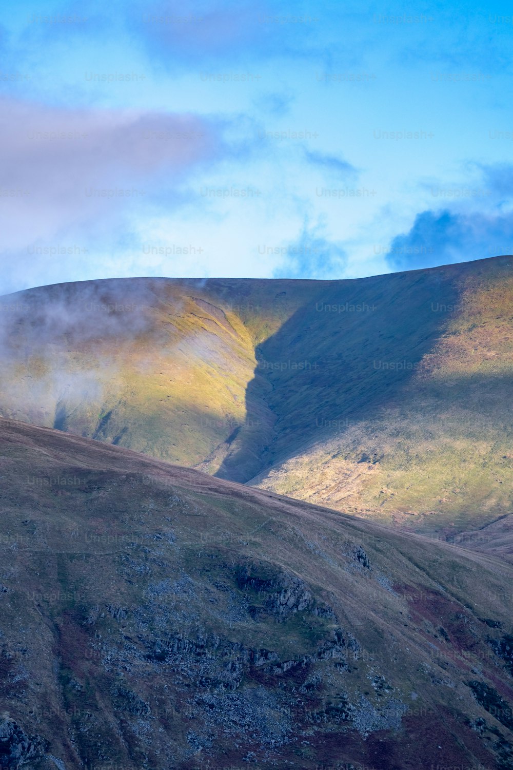 a horse standing on top of a lush green hillside