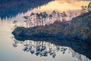 Un lago circondato da alberi con una canna da pesca in primo piano