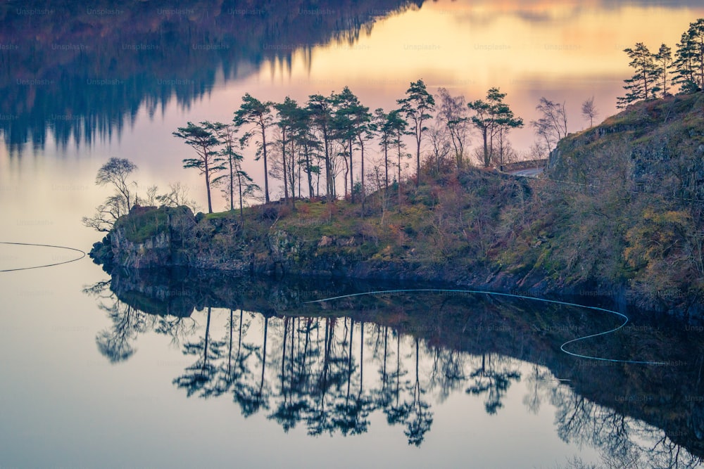 un lac entouré d’arbres avec une canne à pêche au premier plan