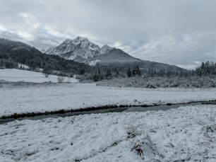 ein Bach, der durch ein schneebedecktes Feld fließt