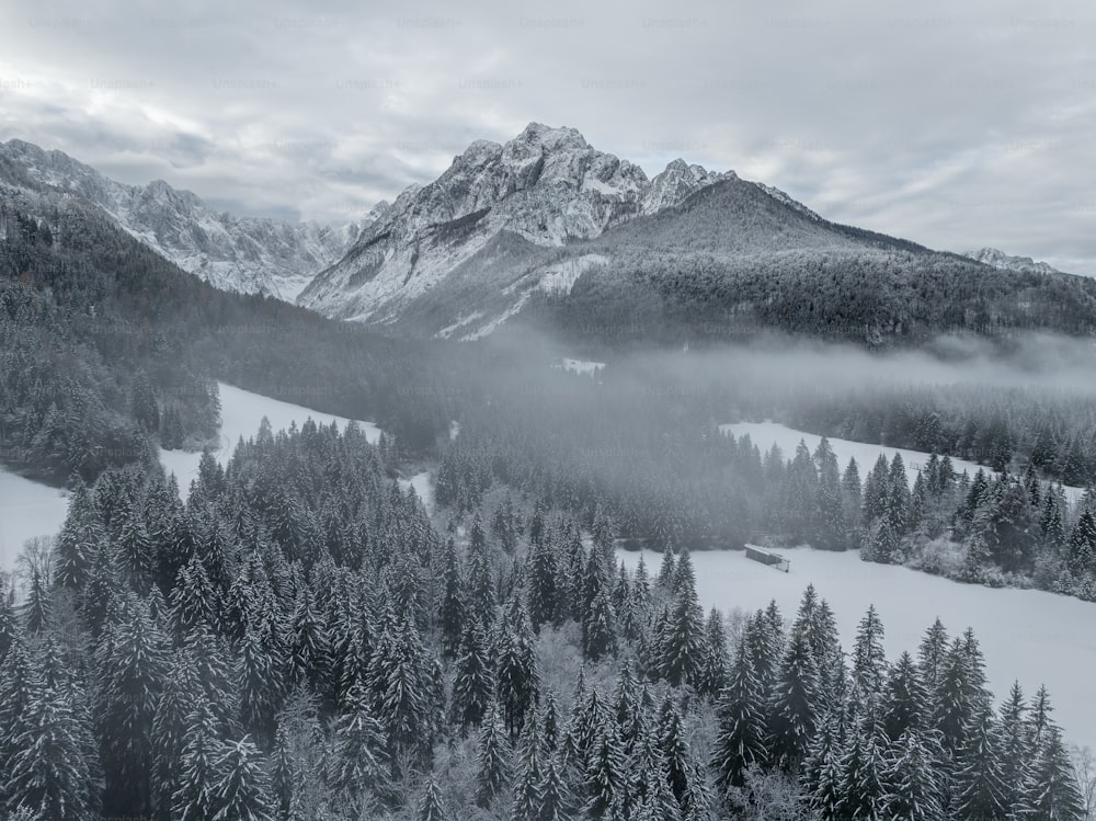Una montaña cubierta de nieve y rodeada de árboles