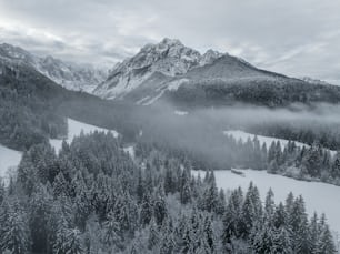 a mountain covered in snow and surrounded by trees