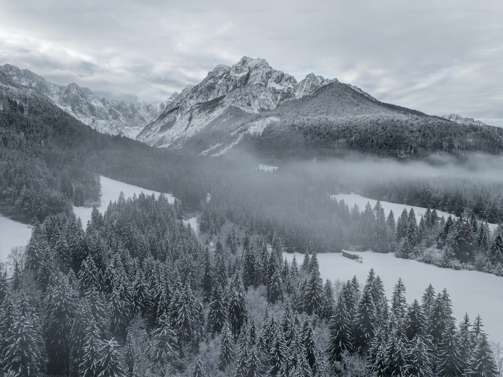 a mountain covered in snow and surrounded by trees