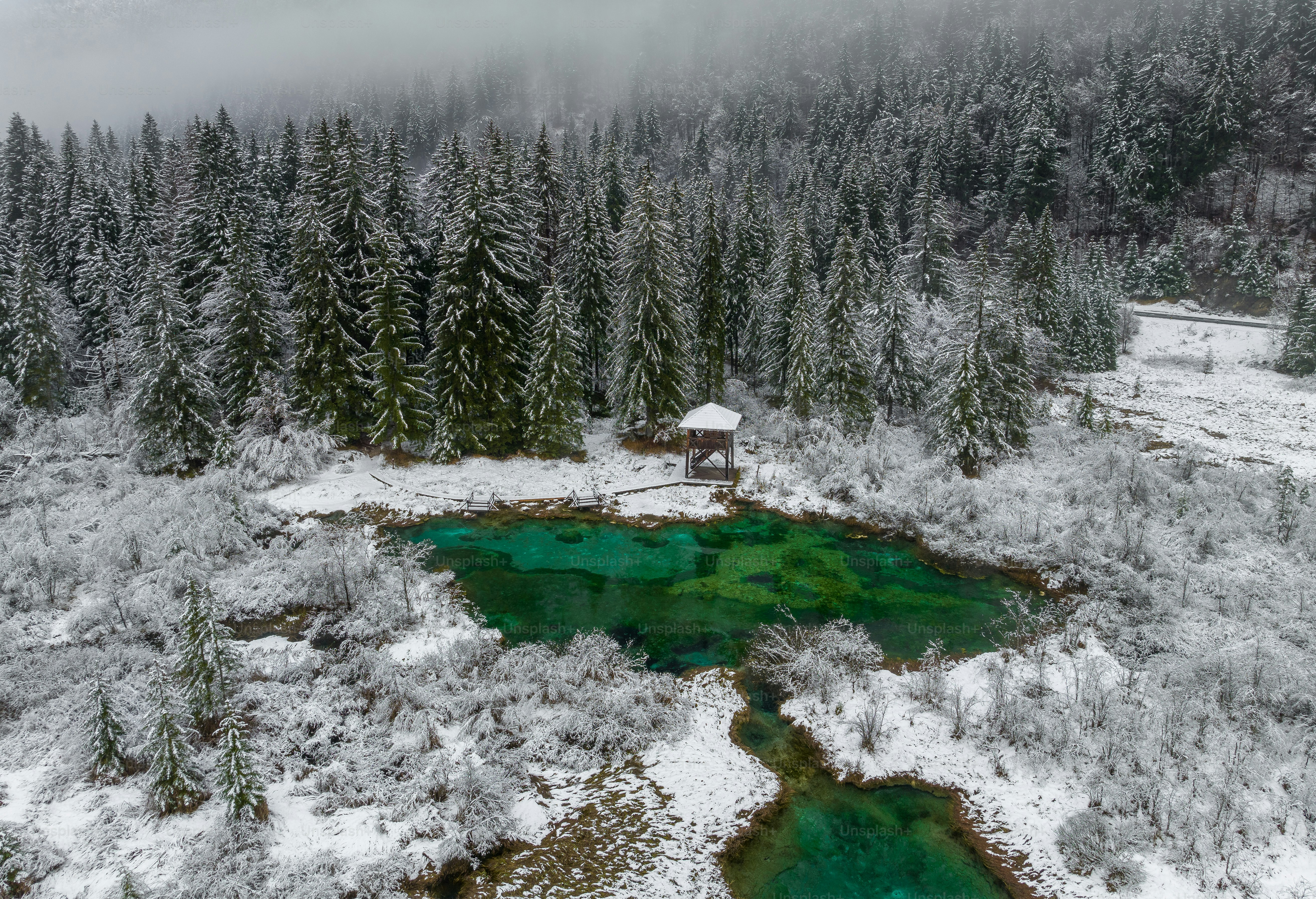 an aerial view of a snow covered forest and a lake