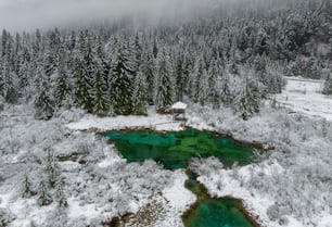 an aerial view of a snow covered forest and a lake