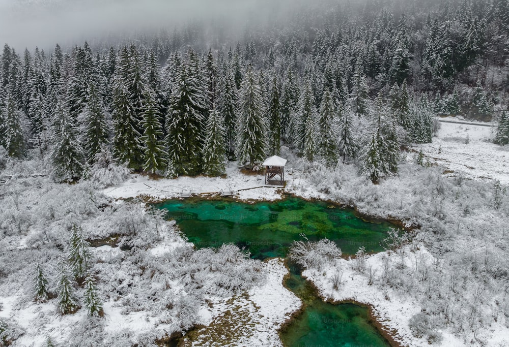 an aerial view of a snow covered forest and a lake