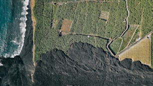 Una vista aerea di una lussureggiante area verde vicino all'oceano