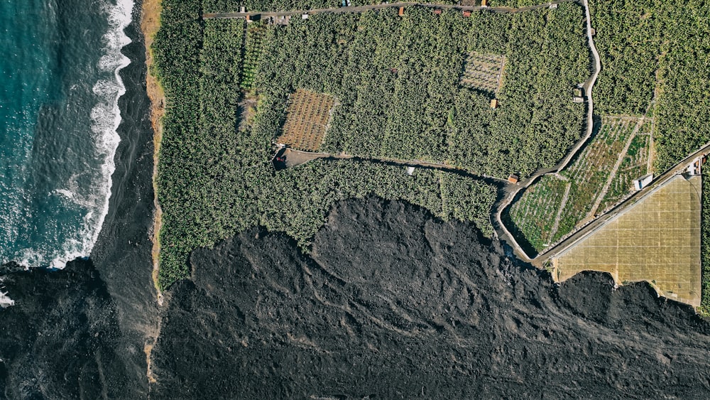 an aerial view of a lush green area next to the ocean