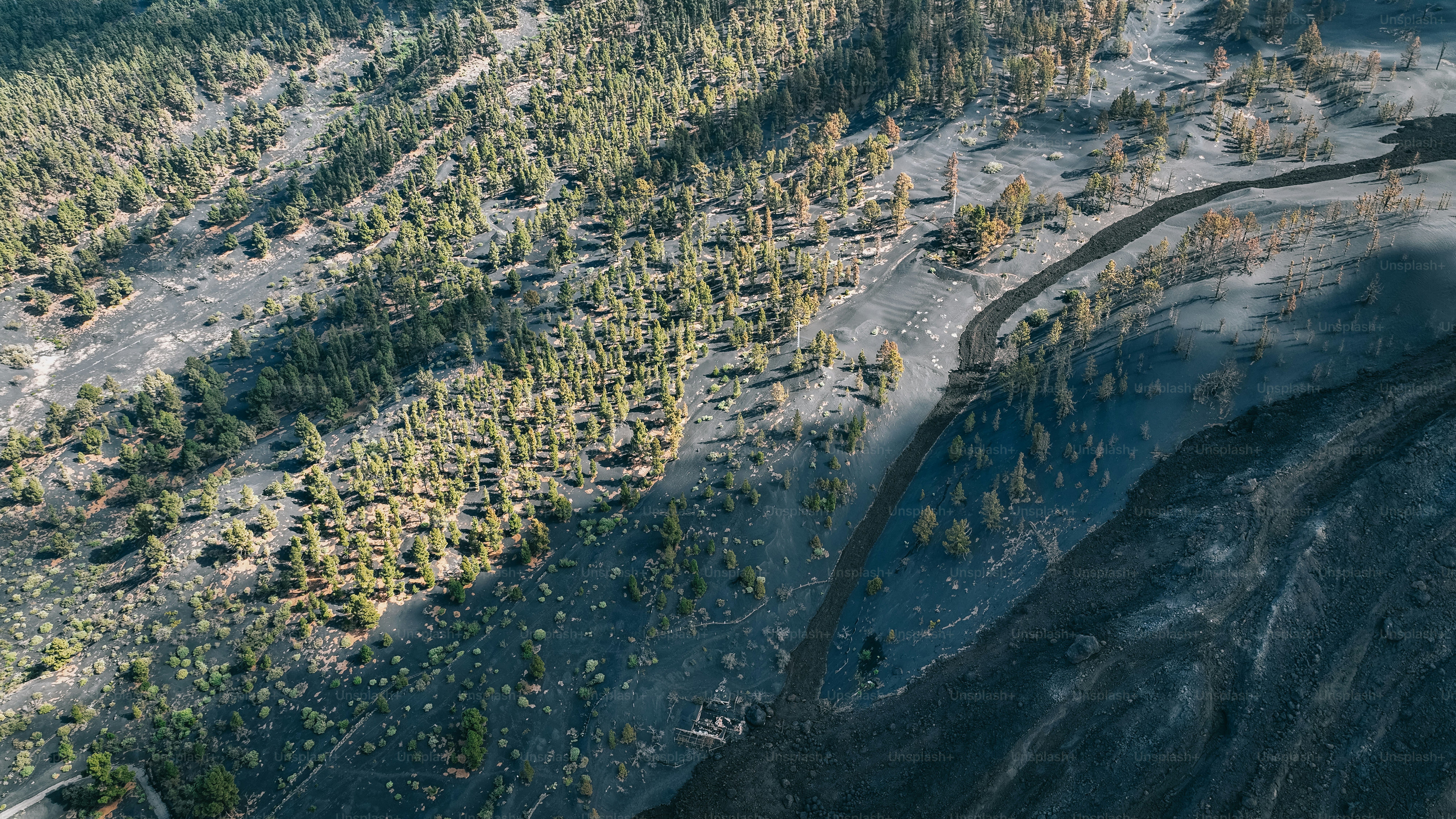 an aerial view of a dirt road surrounded by trees