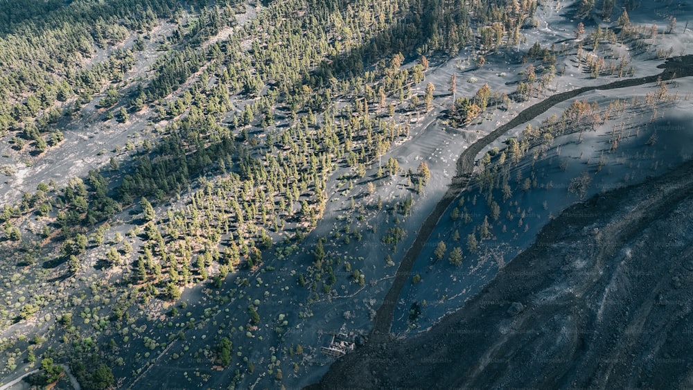 an aerial view of a dirt road surrounded by trees