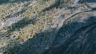 an aerial view of a dirt road surrounded by trees