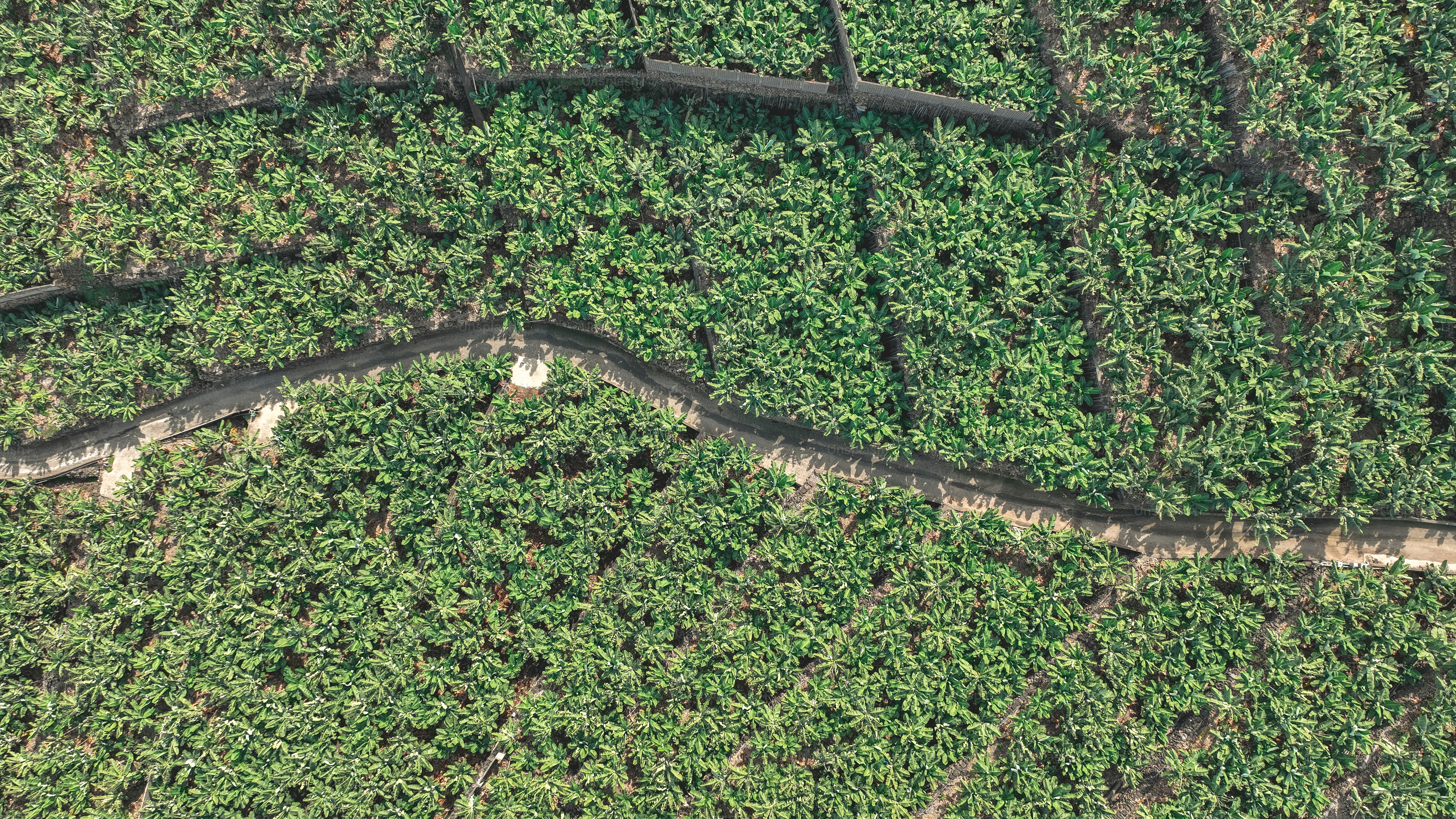 an aerial view of a road winding through a field