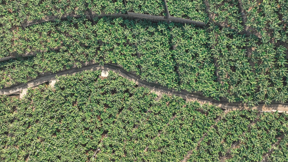 an aerial view of a road winding through a field