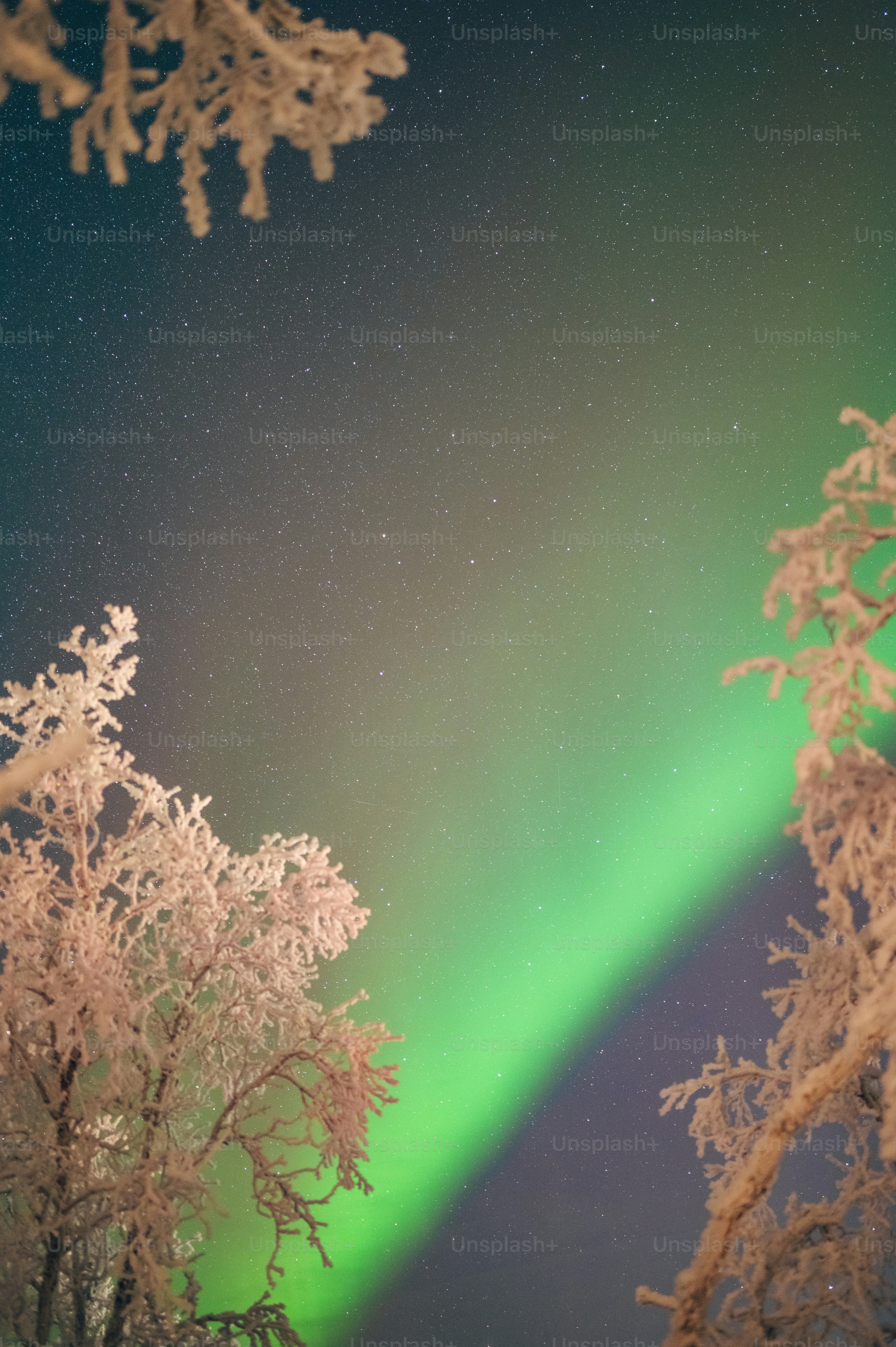 a green and white aurora bore in the sky