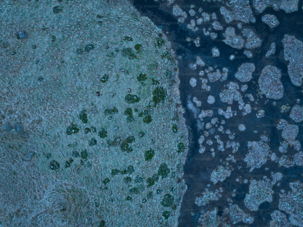 uma vista aérea de uma área gramada e um corpo de água