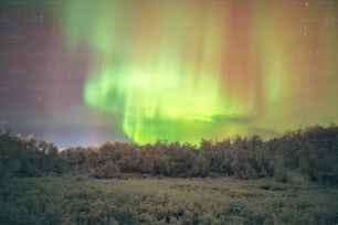 a green and yellow aurora bore is in the sky