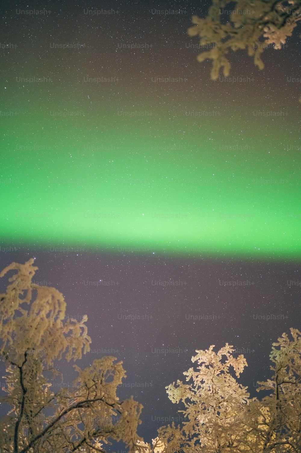 a green and black aurora bore in the sky