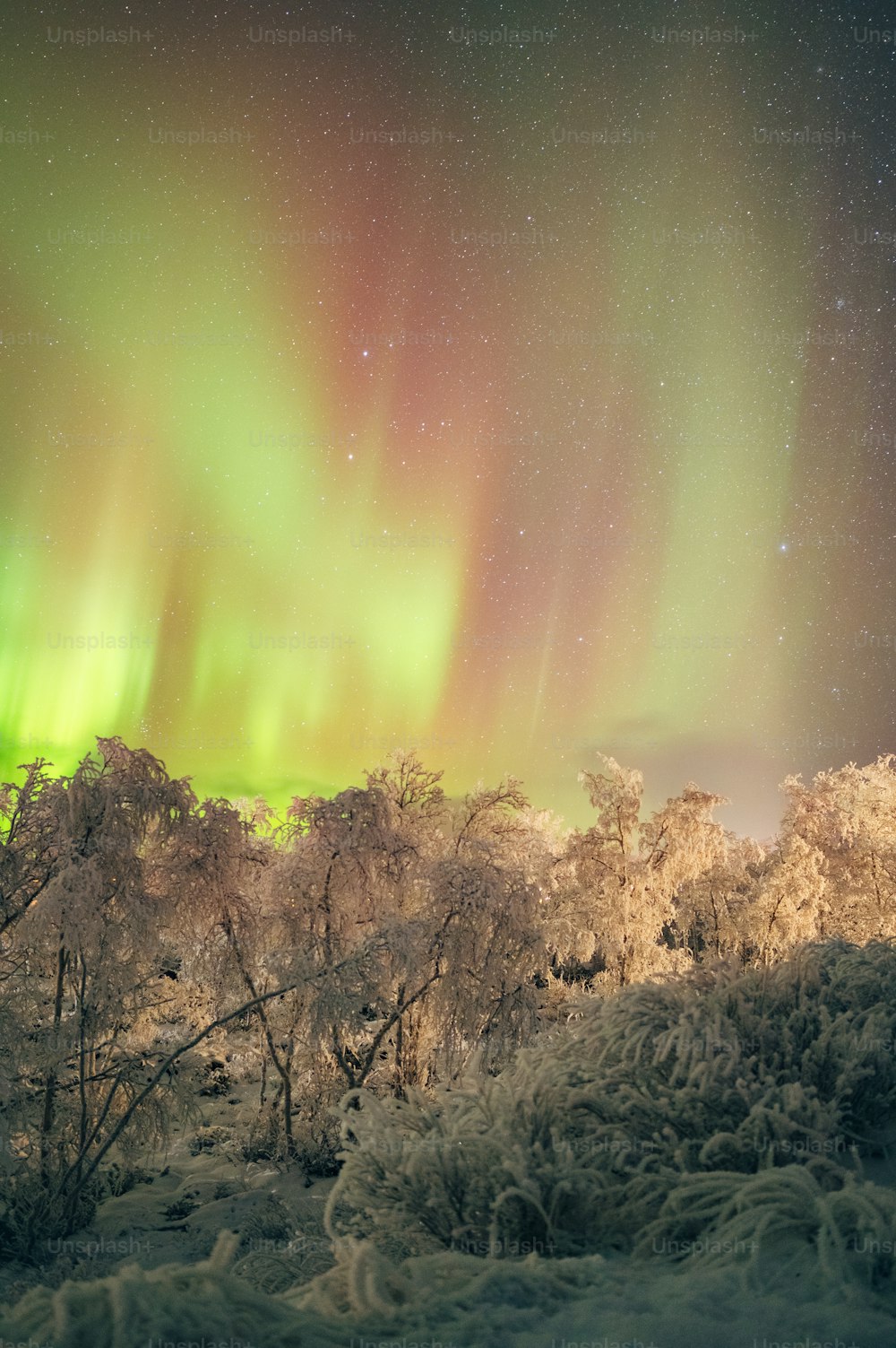 a green and red aurora bore in the sky